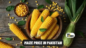 Read more about the article Maize Price in Pakistan: Today Latest Corn Rates 2024