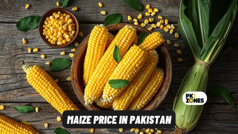 Maize Price in Pakistan