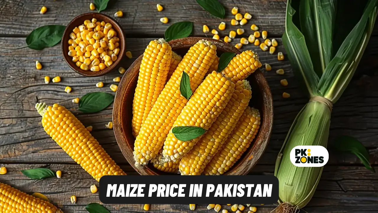 Maize Price in Pakistan