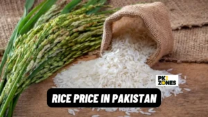 Read more about the article Rice Prices in Pakistan | Today 2024 Latest Rates