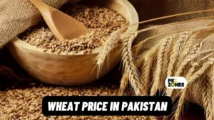 Read more about the article Wheat Price in Pakistan | Navigating the Market in 2024