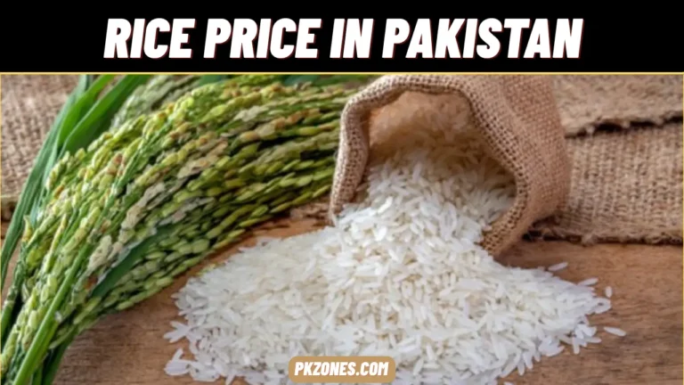 Rice Price in Pakistan